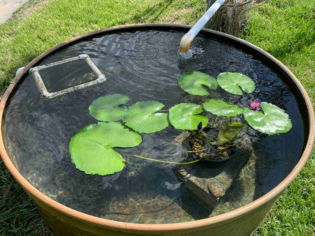 Water tank submersible well pump