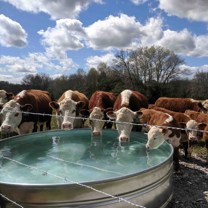 Stock tank filled by deep well pump