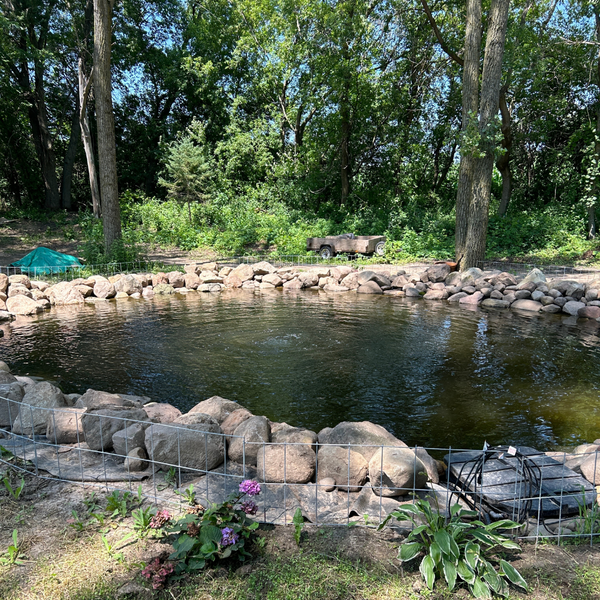 PondPride Pond + Lake Aerator Complete Kit with Weighted Diffuser Air Stone & 110V Compressor | DIY Pond Health Technology