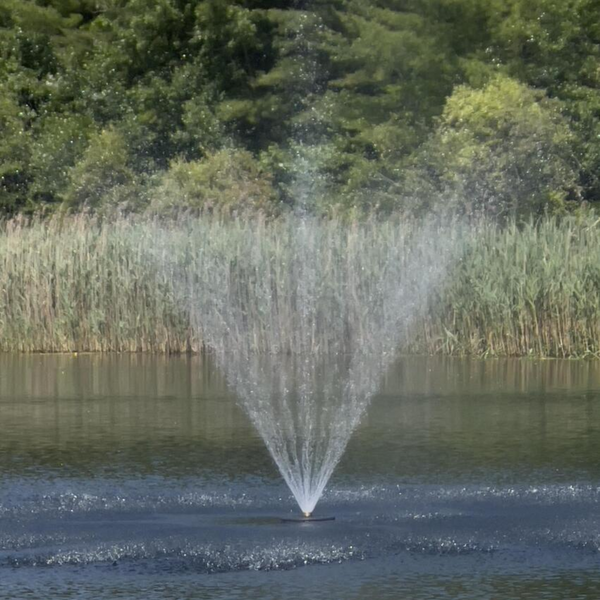 Floating Pond Fountain Pump 10-20ft Height | Large Pond Aerator  | Fish Safe | DIY Friendly | 110V or 220V AC Single Phase Dual Power
