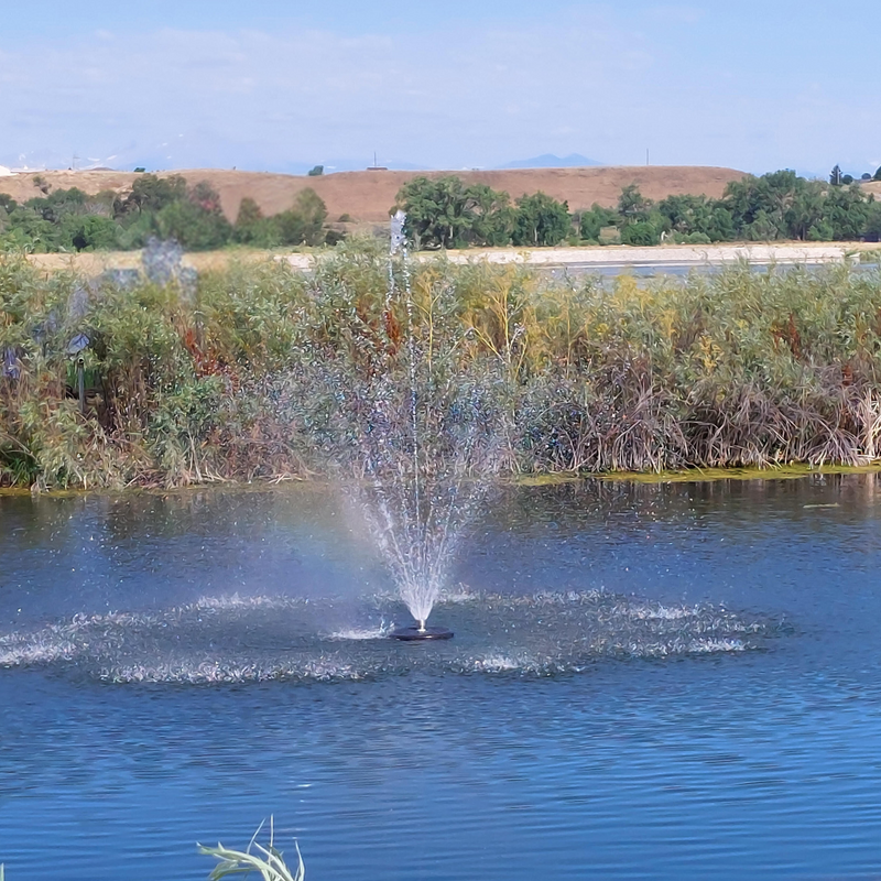 Floating Pond Fountain Pump 10-20ft Height | Large Pond Aerator  | Fish Safe | DIY Friendly | 110V or 220V AC Single Phase Dual Power