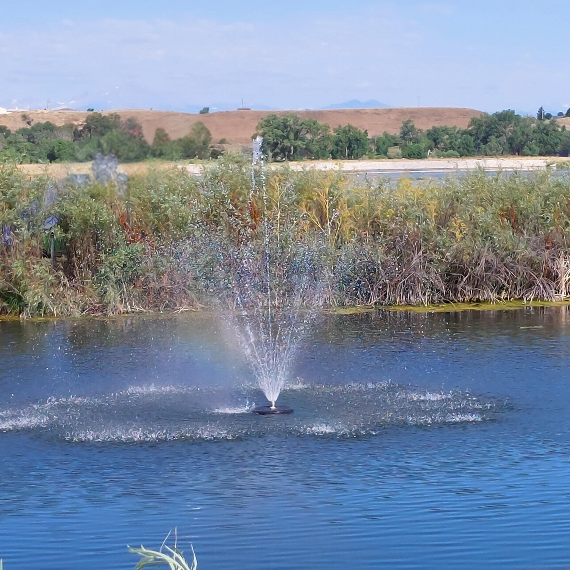 Floting Pump Floating Pond Fountain Pump 10-20ft Height | RPS Water Pumps