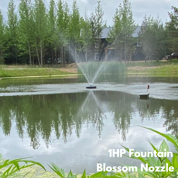 Pond fountain sales store near me