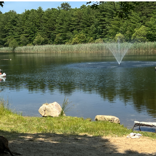 Floating Pond Fountain Pump 10-20ft Height | Large Pond Aerator  | Fish Safe | DIY Friendly | 110V or 220V AC Single Phase Dual Power