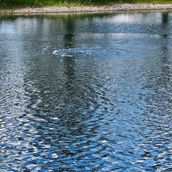 PondPride Pond + Lake Aerator Complete Kit with Weighted Diffuser Air Stone & 110V Compressor | DIY Pond Health Technology