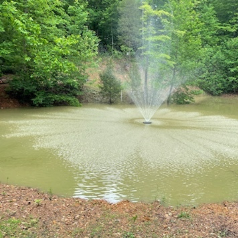 Floating Pond Fountain Pump 10-20ft Height | Large Pond Aerator  | Fish Safe | DIY Friendly | 110V or 220V AC Single Phase Dual Power